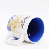 Starbucks Coffee Stdtetasse City Mug Singapore Orchid
