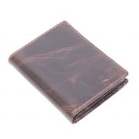 FOSSIL Norton INTL Combi Brown ML321059200
