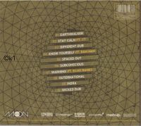 Radikal Guru . subconscious . CD 2013